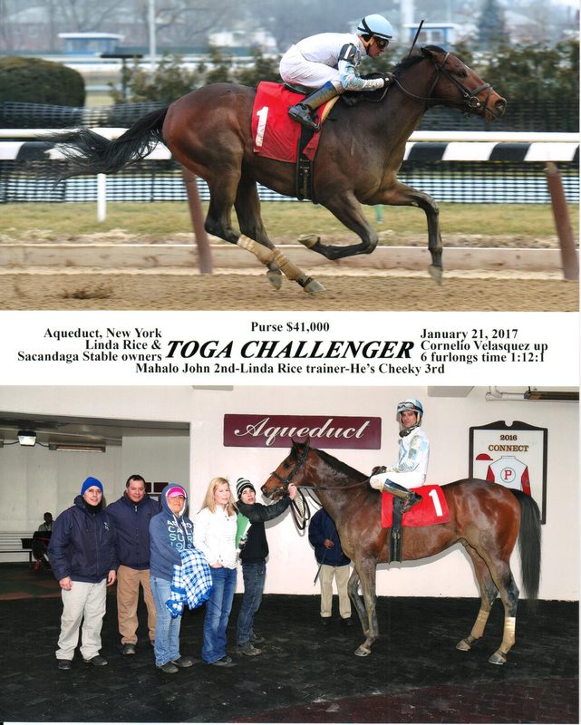 Toga Challenger — 1/21/17