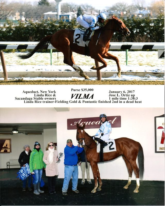 Vilma — 1/6/17