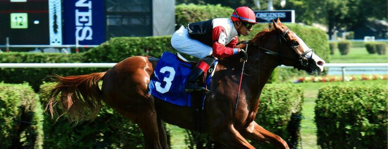 New York’s Finest Wins 3 for 3 at Saratoga