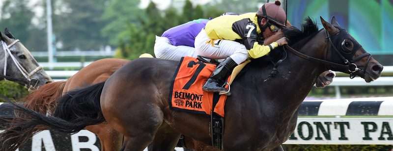 Nicodemus wins the Grade III Westchester · Belmont Park, 2019