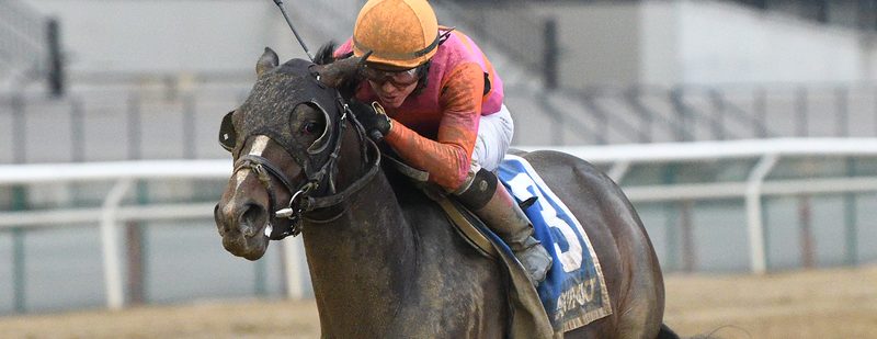 Max Player captures the Grade III Withers · Aqueduct, 2020