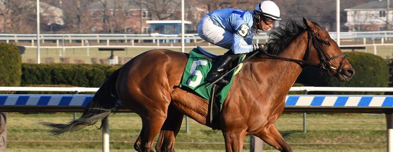 Rice Earns Seventh NY-Bred Trainer Title