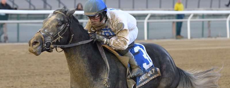 Montauk Traffic goes last to first in the Jimmy Winkfield · Aqueduct, 2020