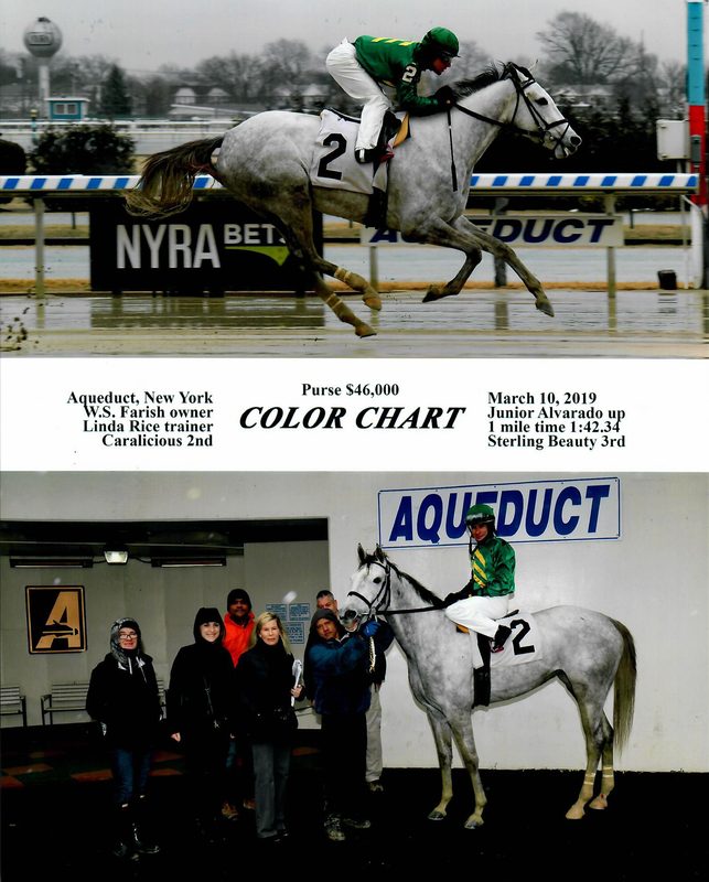 Color Chart — 3/10/19