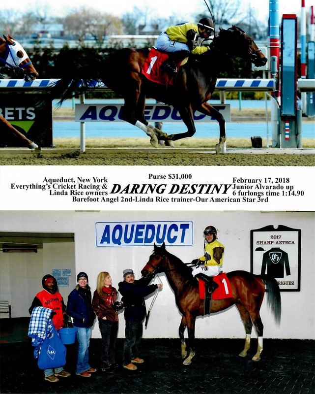 Daring Destiny — 2/17/18