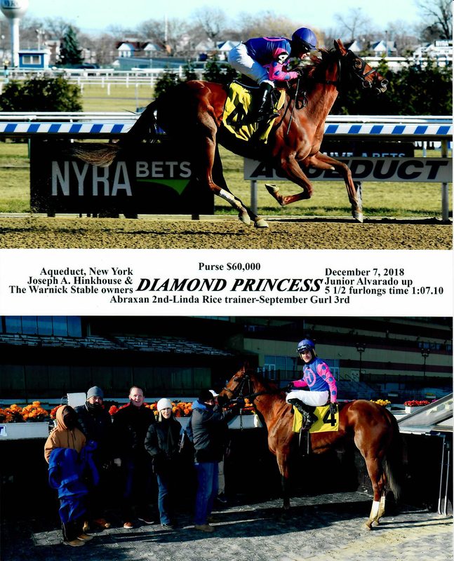Diamond Princess — 12/7/18