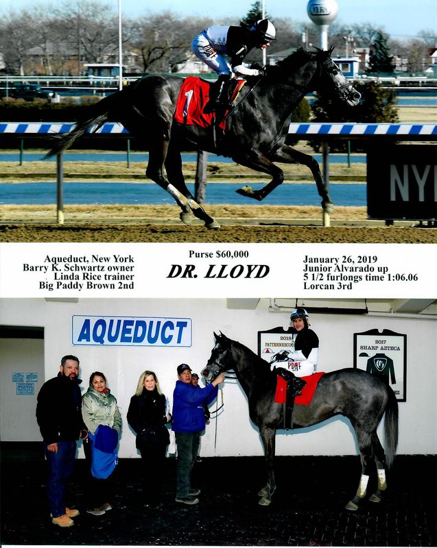 Dr Lloyd — 1/26/19