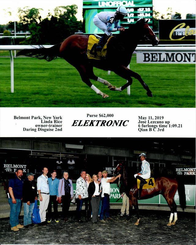 Elektronic — 5/11/19