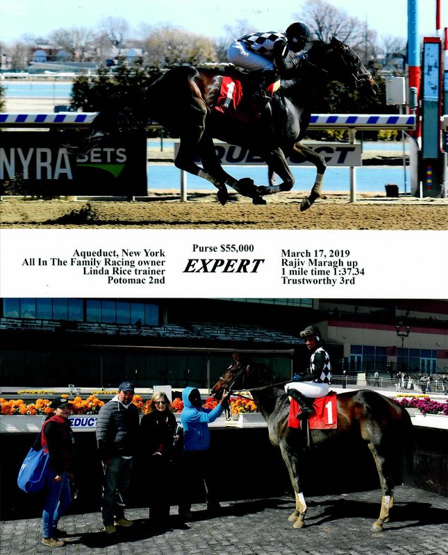 Expert — 3/17/19