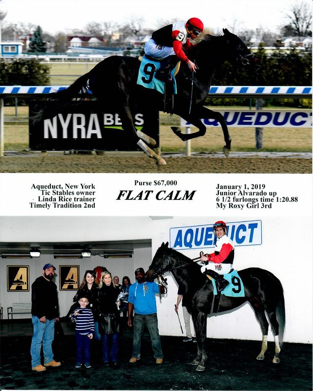 Winner’s circle photo: Flat Calm, Jan 1, 2019