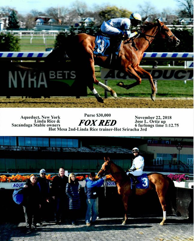 Fox Red — 11/22/18