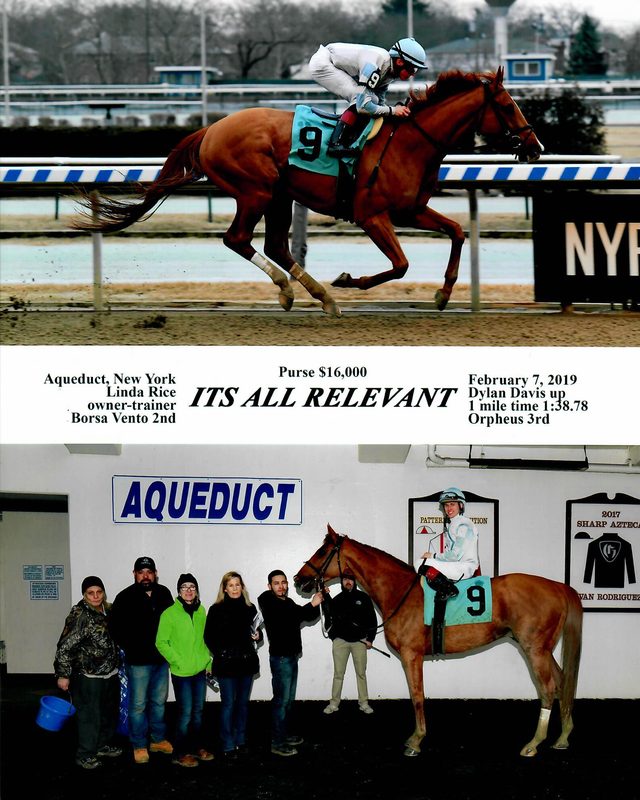 Its All Relevant — 2/7/19