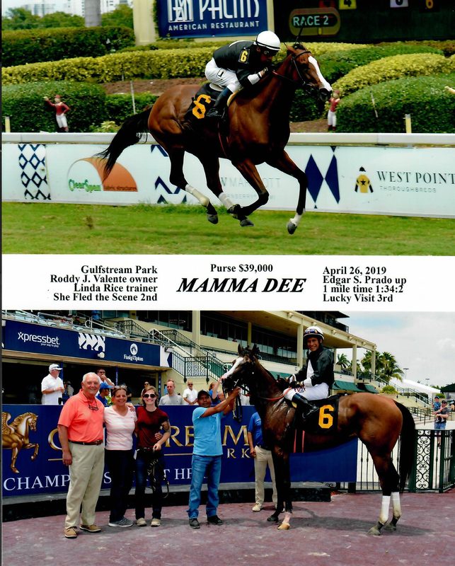 Mamma Dee — 4/26/19