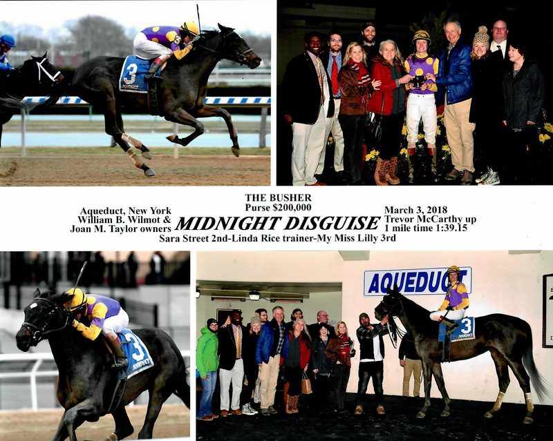 Midnight Disguise — 3/3/18