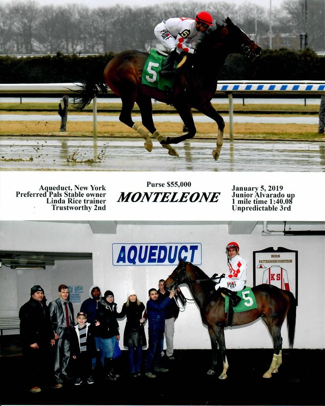 Monteleone — 1/5/19