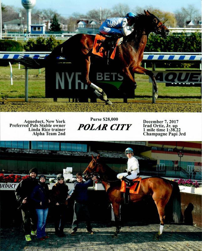 Polar City — 12/7/17