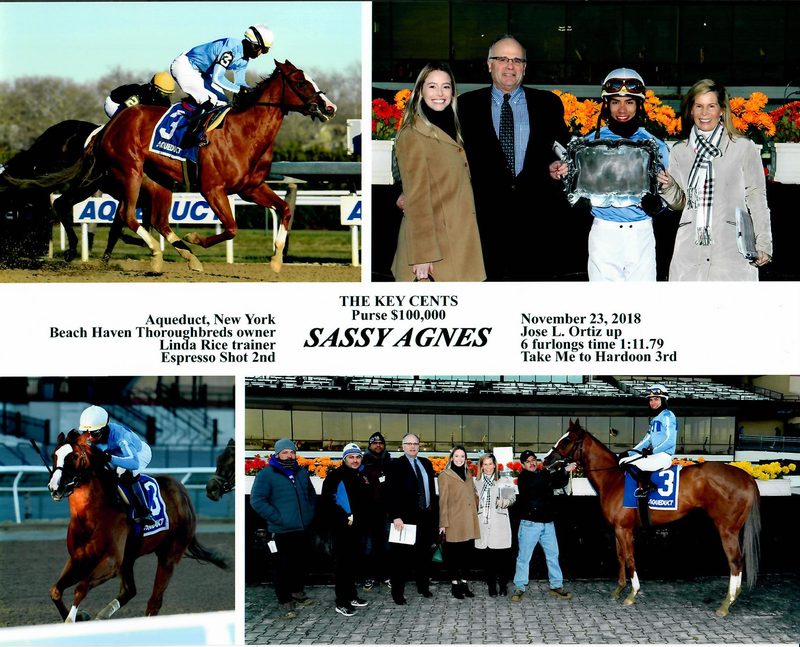 Sassy Agnes — 11/23/18
