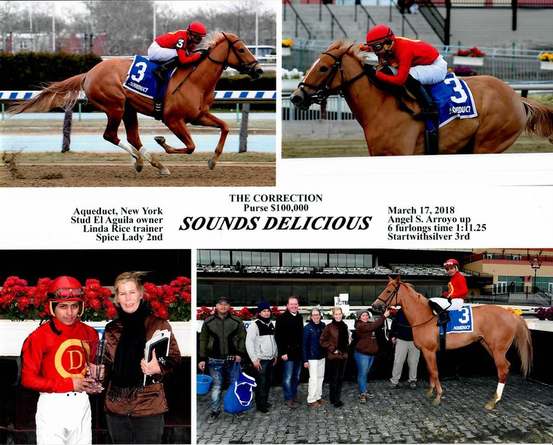 Sounds Delicious — 3/17/18