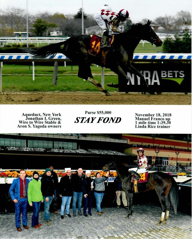 Stay Fond — 11/18/18