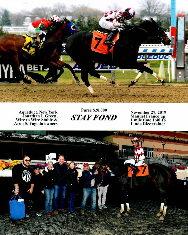 Stay Fond — 11/27/19