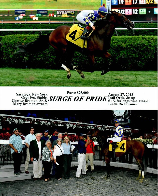 Surge Of Pride — 8/27/18