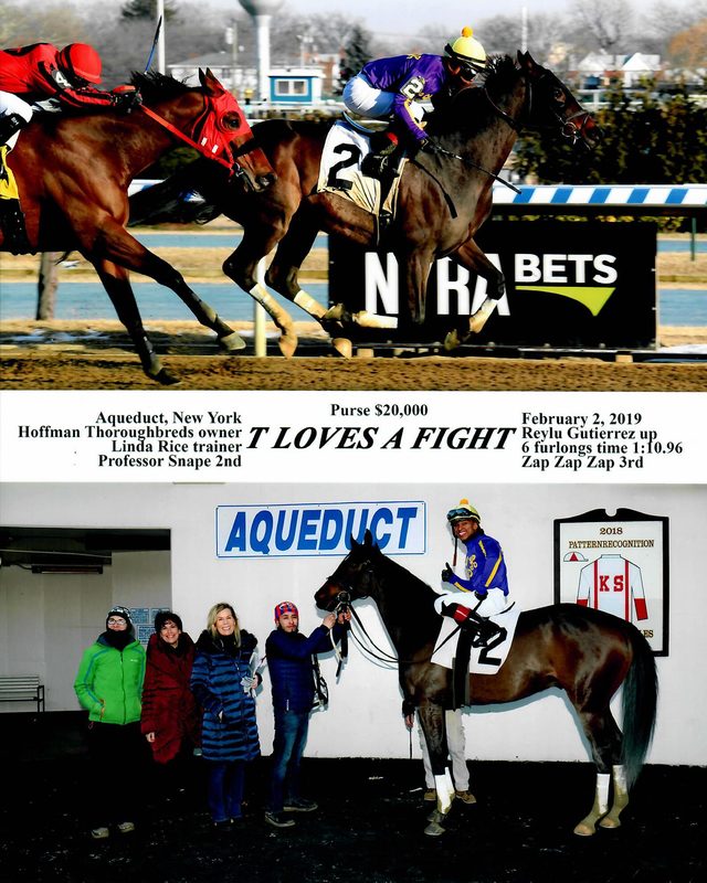 T Loves A Fight — 2/2/19