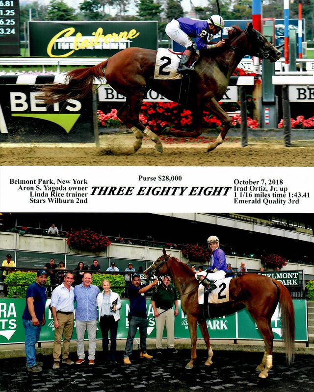 Three Eighty Eight — 10/7/18
