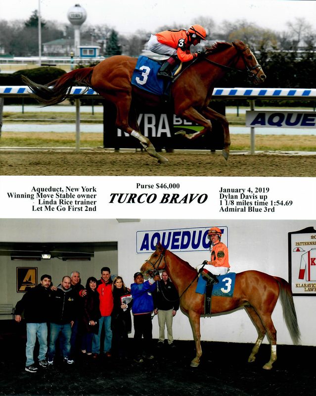Turco Bravo — 1/4/19