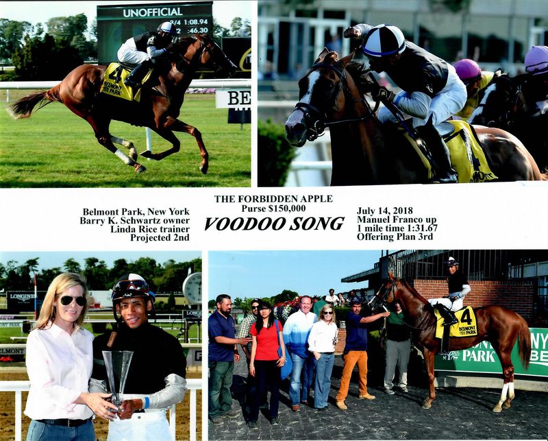 Voodoo Song — 7/14/18
